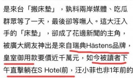 张兰爆料语音记录视频,独家视频曝光惊人真相